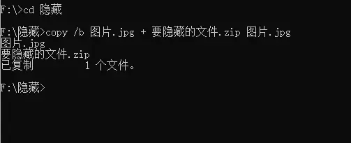 天域博客-将任意文件伪装成图片插图3 天域博客-将任意文件伪装成图片插图3