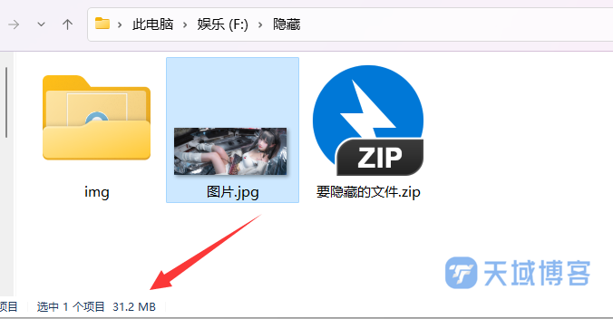 天域博客-将任意文件伪装成图片插图4 天域博客-将任意文件伪装成图片插图4